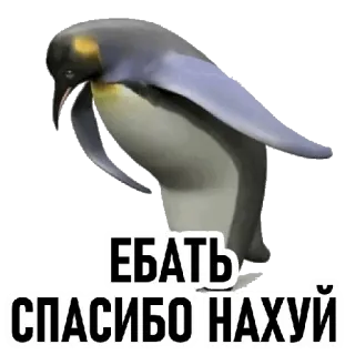 🧐 ЕБАТЬ
СПАСИБО НАХУЙ pingüino, ofensivo, ruso, pájaro whatsapp sticker