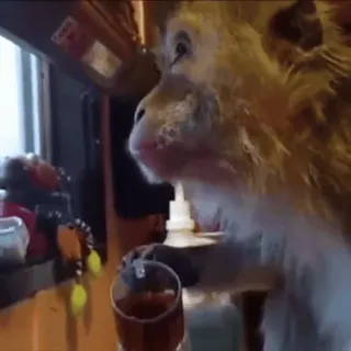 ☕️ telegram sticker