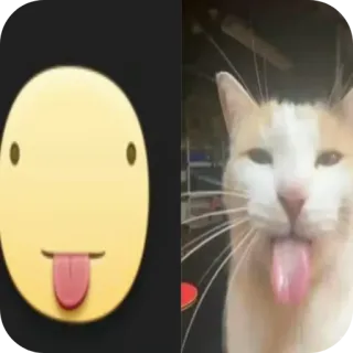 🐱 chat, emoji, langue, drôle, animal, autocollant telegram sticker