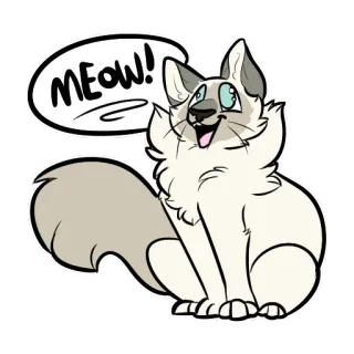 🤩 MEOW! chat, miaou, animal, mignon, animal de compagnie, animal domestique whatsapp sticker