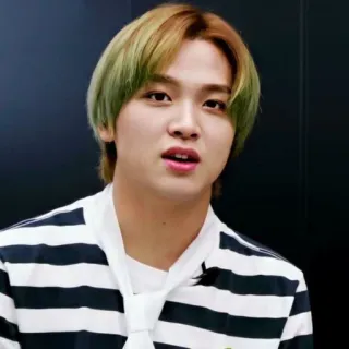 🔖 Haechan kpop, ไอดอล, nct, nct dream, แฮชาน, นักร้อง, คนดัง telegram sticker