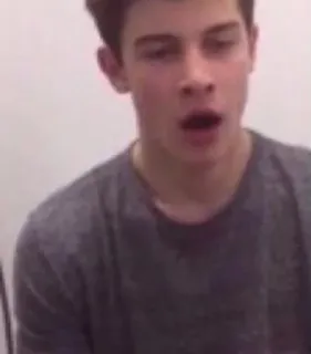 😴 Shawn Mendes celebrity, singer, male, portrait, young, music, pop star telegram sticker