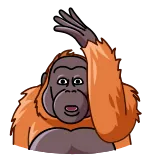 Orangoutang whatsapp stickers