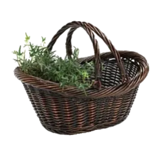 🧺 mand, plant, kruiden, geweven, container, tuin telegram sticker