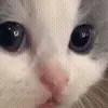 👀