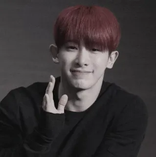 🌗 мужчина, K-pop, музыка, знаменитость, жест, рука telegram sticker