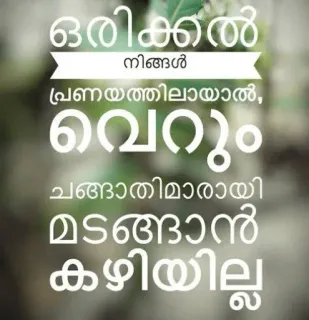 💌 ഒരിക്കൽ നിങ്ങൾ പ്രണയത്തിലായാൽ, വെറും ചങ്ങാതിമാരായി മടങ്ങാൻ കഴിയില്ല. telegram sticker