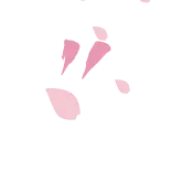 🌸