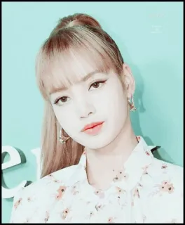 🐿 Lisa Lisa, cantora, mulher, K-pop, Blackpink, celebridade whatsapp sticker