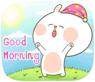 🐽 Good Morning dzień dobry, królik, uroczy, rano, kreskówka telegram sticker