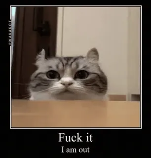 🌟 Fuck it
I am out cat, animal, meme, humor, offensive, swear word telegram sticker