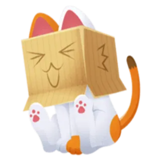 😃 gato, caixa, animal, fofo, animal de estimação, gatinho whatsapp sticker