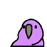 🐦 bird, parrot, cute, animal, purple telegram sticker
