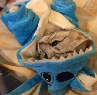 🥺 gato, ponto cruz, animal, fofo, cosplay, animal de estimação telegram sticker