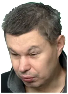 🤦‍♂️ telegram sticker