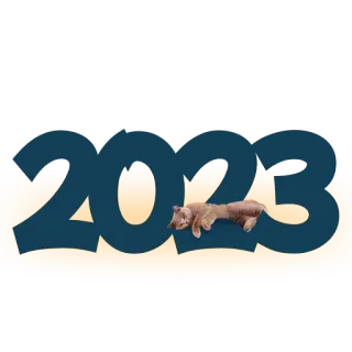 🎄 2023 tahun, 2023, tanggal, nomor, beruang, hewan telegram sticker