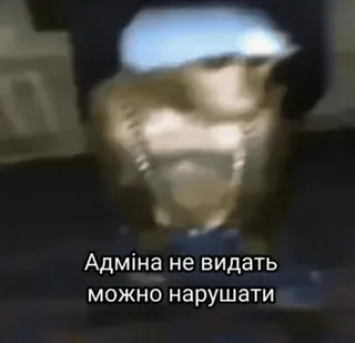 😱 Адміна не видать можно нарушати telegram sticker
