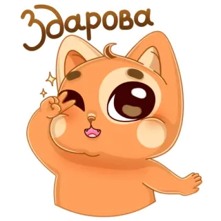👋 Здарова chào hỏi, mèo, động vật, hoạt hình telegram sticker
