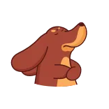😤 hond, cartoon, dier, grappig, schattig, uitdrukking telegram sticker