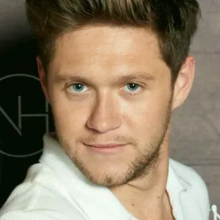 😈 Niall Horan musician, singer, celebrity, portrait telegram sticker