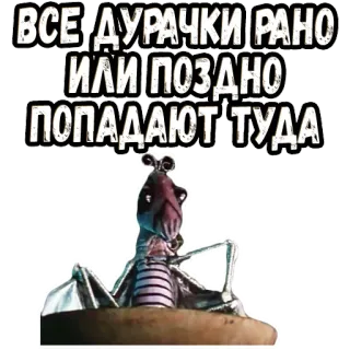 👆 Jar Jar Binks Star Wars ВСЕ ДУРАЧКИ РАНО ИЛИ ПОЗДНО ПОПАДАЮТ ТУДА star wars, jar jar binks, kartun, stiker telegram sticker