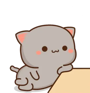 😌 Katze, süß, Tier, kawaii, Pfirsich telegram sticker