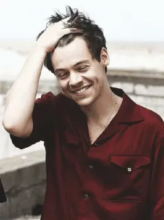 💴 Harry Styles célébrité, chanteur, harry styles, portrait, homme, masculin telegram sticker