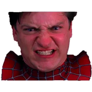 😡 Spider-Man Spider-Man, en colère, mème, film, super-héros, bande dessinée telegram sticker