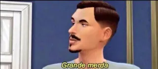 🌞 Grande merda obraźliwe, sims telegram sticker