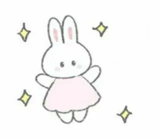 🤍 conejo, conejito, lindo, animal, brillos, vestido rosa telegram sticker