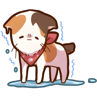 😥 gato, fofo, triste, chorando, lágrimas, animal de estimação whatsapp sticker