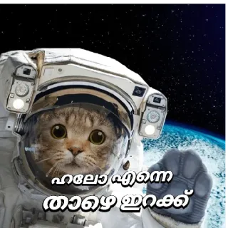 😂 ഹലോ എന്നെ താഴെ ഇറക്ക് cat, astronaut, space, earth, helmet telegram sticker