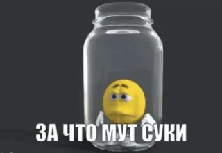 🌟 ЗА ЧТО МУТ СУКИ whatsapp sticker