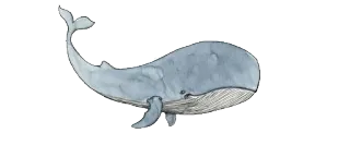 😅 Wal, Ozean, Meer, Tier, Säugetier, Blau, Aquarell telegram sticker
