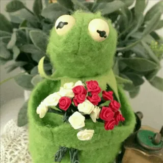 🐸 Kermit kermit, sapo, flores, rosas, fantoche, fofo, buquê whatsapp sticker