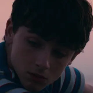 😐 Timothée Chalamet актер, знаменитость, портрет, человек whatsapp sticker