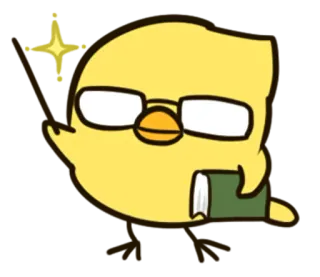 🤓 poussin, lunettes, livre, oiseau, mignon, dessin animé whatsapp sticker