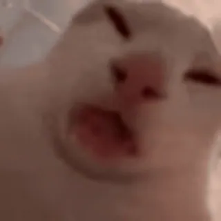 😋