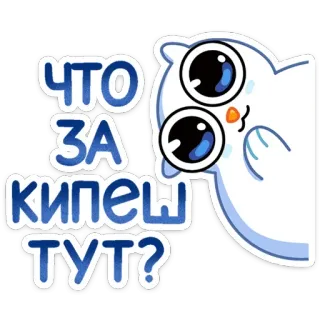 ❓ ЧТО ЗА КИПЕШ ТУТ? burung hantu, rusia, pertanyaan, penasaran, lucu, hewan telegram sticker