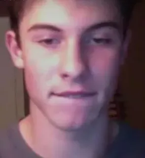 😏 Shawn Mendes singer, celebrity, face, portrait, man telegram sticker