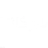 👏