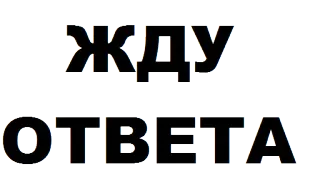 ‼️ ЖДУ
ОТВЕТА 等待, 俄文文本, 回复, 请求 whatsapp sticker