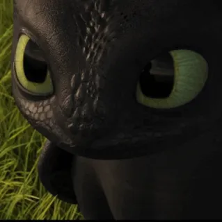 🥺 Toothless How to Train Your Dragon มังกร, น่ารัก, สัตว์, สัตว์เลี้ยง, ตา whatsapp sticker