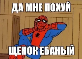 🙅 Spider-Man ДА МНЕ ПОХУЙ 
ЩЕНОК ЕБАНЫЙ spider-man, meme, beleidigend whatsapp sticker
