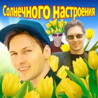 Больше стиков тут: @stikery4 telegram stickers