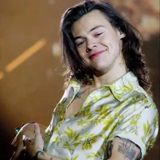 🙂 Harry Styles Harry Styles, singer, celebrity, music, pop star telegram sticker