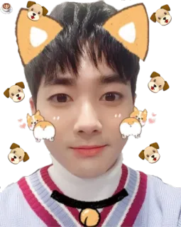🐶 portrait, oreilles de chien, chien, mignon, visage telegram sticker