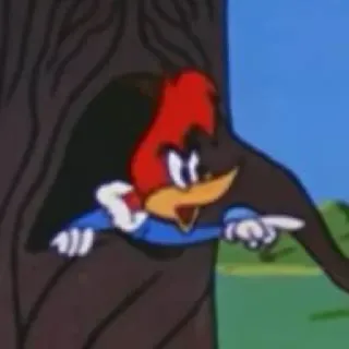🤨 Woody Woodpecker วู้ดดี้ วู้ดเพ็คเกอร์, การ์ตูน, นก, แอนิเมชั่น, คลาสสิก telegram sticker