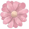 🌸