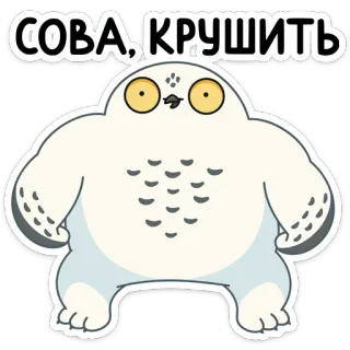 💪 СОВА, КРУШИТЬ coruja, pássaro, desenho animado, animal, adesivo, coruja-das-neves, coruja branca telegram sticker